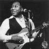 Muddy Waters