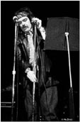 Captain Beefheart