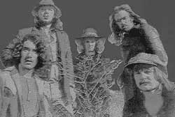 Iron Butterfly